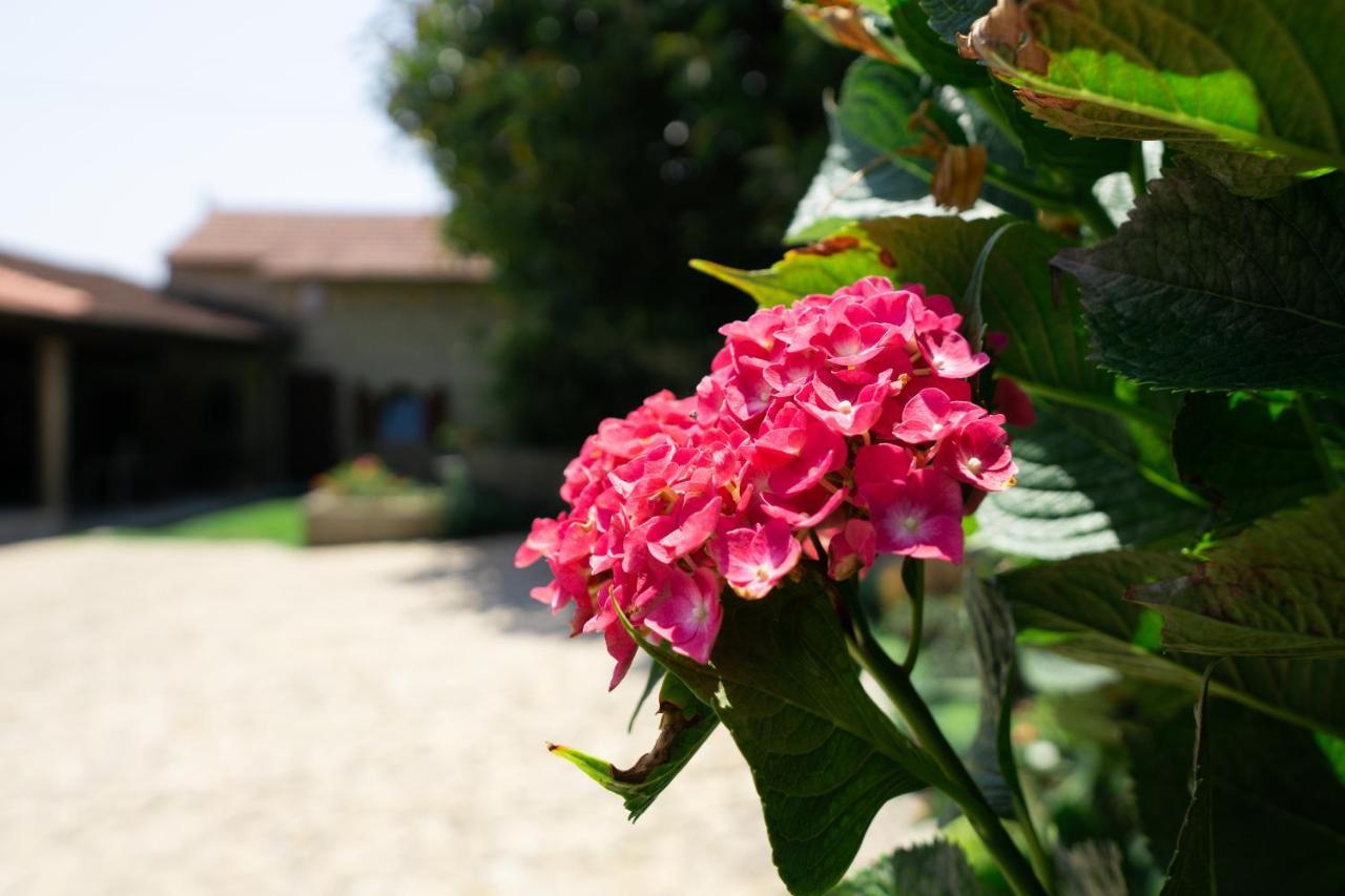 Casa Mindela Farmhouse Gião Esterno foto